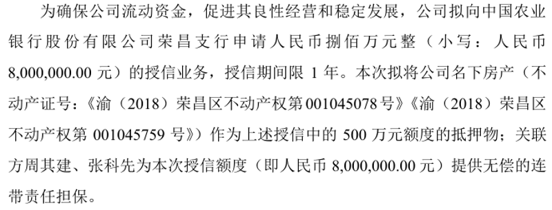 融资担保行业：如何把握新机遇