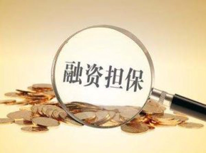 信用担保市场重庆现状与发展